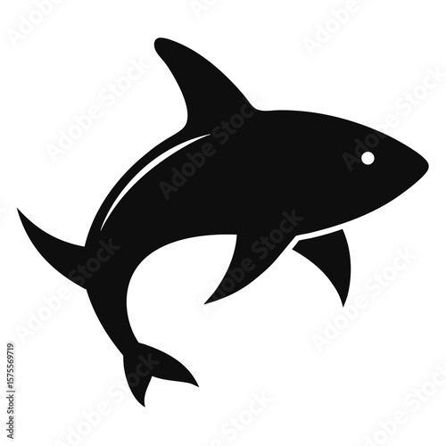 fish isolated on white