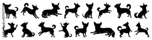 Stylized Chihuahua Dog Silhouette Collection in Dynamic Various Positions, Solid Black Vector Illustrations of Small Dog in Motion, Sleep, Sitting, Standing, and Playful Poses on White Background