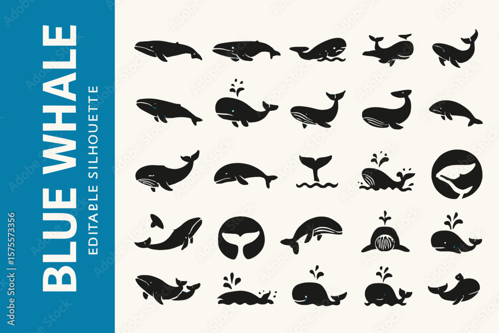 Naklejka premium Blue Whale Silhouette Icon: Marine Life & Giant Ocean Mammal Black Vector