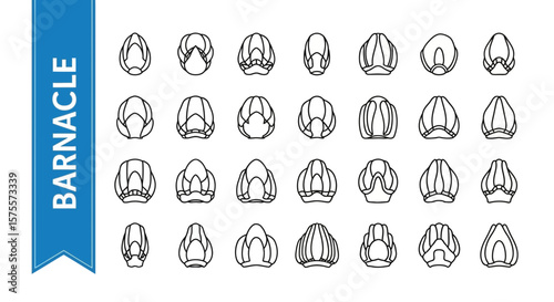 Barnacle Silhouette Icon: Marine Life & Coastal Creature Black Vector