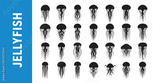 A collection of 25 Jellyfish -related editable Silhouette.