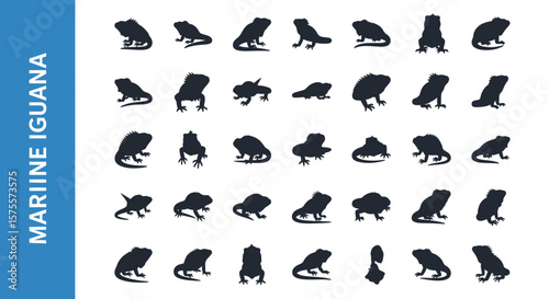 A collection of 25 Marine iguana -related editable Silhouette.
