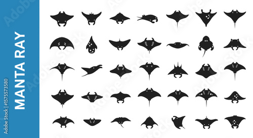 Manta Ray Silhouette Icon: Majestic Marine Life & Ocean Glider Black Vector