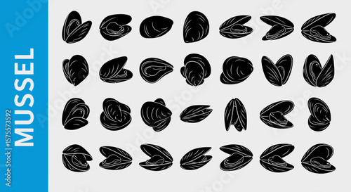 Mussel Silhouette Icon: Shellfish & Coastal Marine Life Black Vector