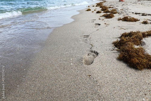 Fototapeta Naklejka Na Ścianę i Meble -  footprints on the beach