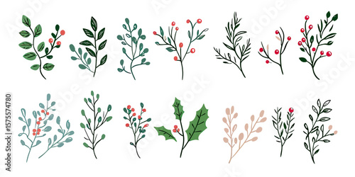 Set of hand drawn winter botanical branches with leaves and red berries, minimalist festive floral elements for holiday decoration and seasonal design vector illustration