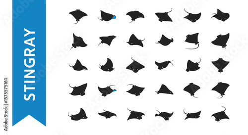 Stingray Silhouette Icon: Marine Life & Ocean Glider Black Vector