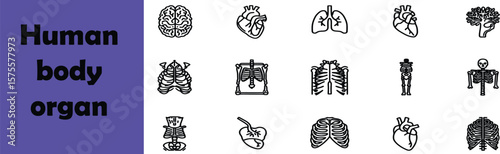 Collection of human body organ icons including brain heart lungs kidney and other vital organs
