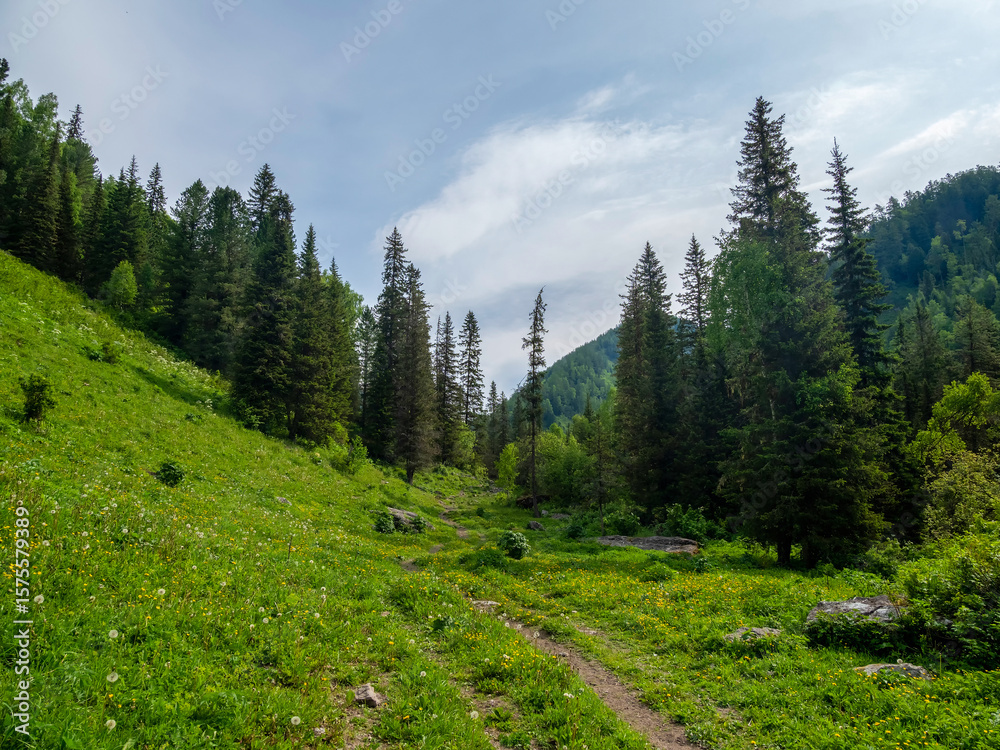 Fototapeta premium Hiking trail through a green mountain valley
