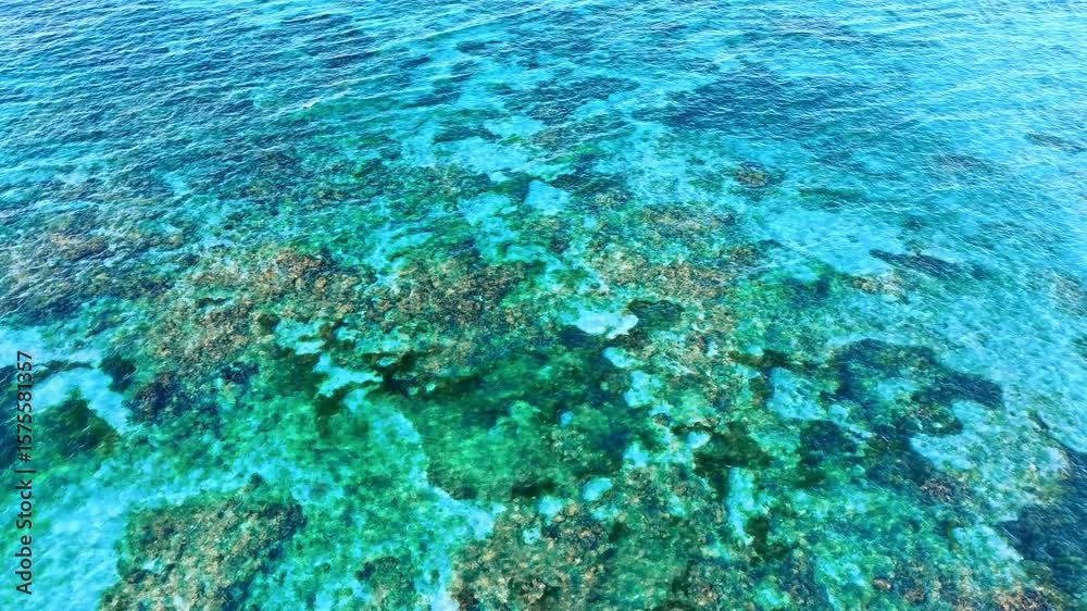 Aerial view of coral reef at low tide with rocks under emerald water. Drone view of deep blue ocean with turquoise shallow water and shiny coral reef. Underwater rock on tropical island.