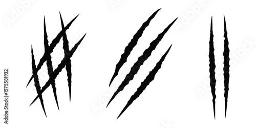 Vector Claw Scratch Marks with Animal Claws, Rough Scratch Style for Wildlife or Danger Concept
