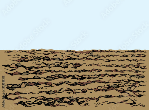 Vector drawing. Old Plowed soil