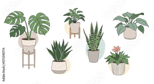 Collection of various houseplants in stylish pots for modern home decor and interior design concepts