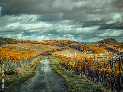 Autumn mood in the vineyards in the Ahr Valley near Ahrweiler, Germany