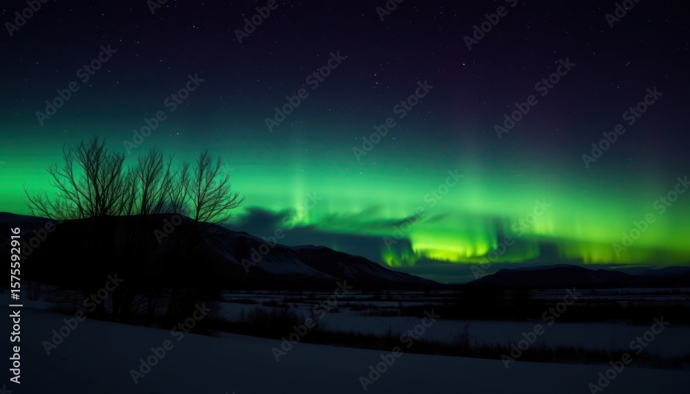 Fototapeta premium Vibrant aurora borealis illuminates a snowy landscape at night
