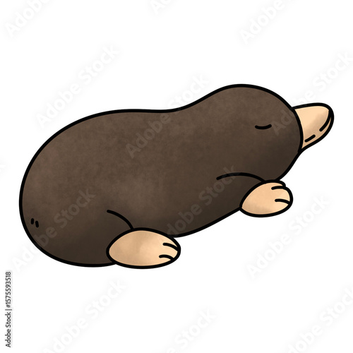 Mole in ground