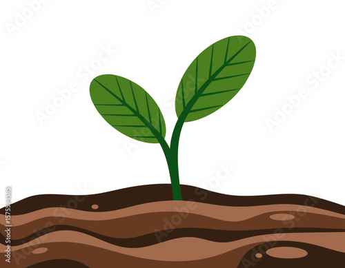 A small green sprout emerges from layered brown soil against a white background.