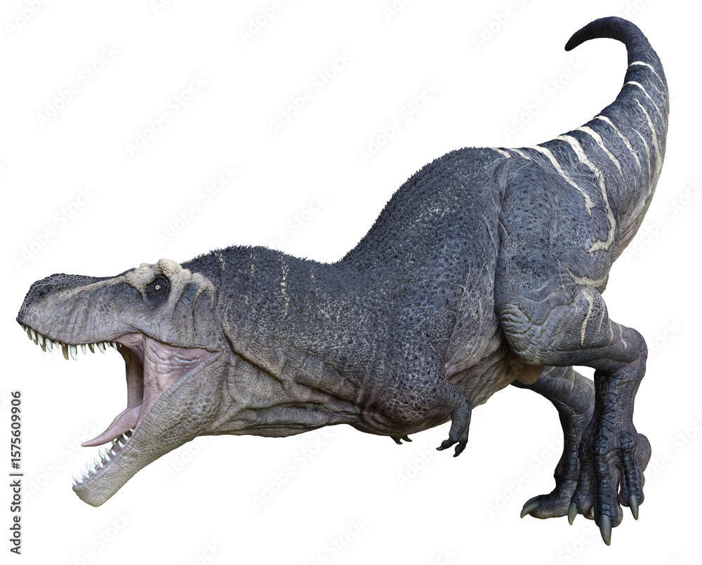 Fototapeta premium 3D rendered Tyrannosaurus - 3D Illustration