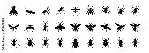 Collection of insect ,silhouettes ,icon, insect clip art, black,vector illustration set, Collection, Types, species, many, Famous, ,entomology and pest control design elements