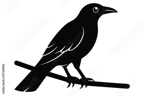 crow on branch vector icon