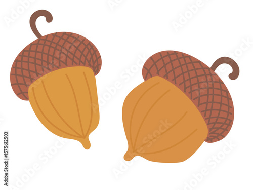 Beautiful colored acorn set from oak tree isolated on white background. Hand drawn vector flat colored illustration. Autumn falling leaves, foliage, icon, symbol, sticker design