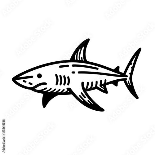 Shark: Majestic Predator of the Ocean
