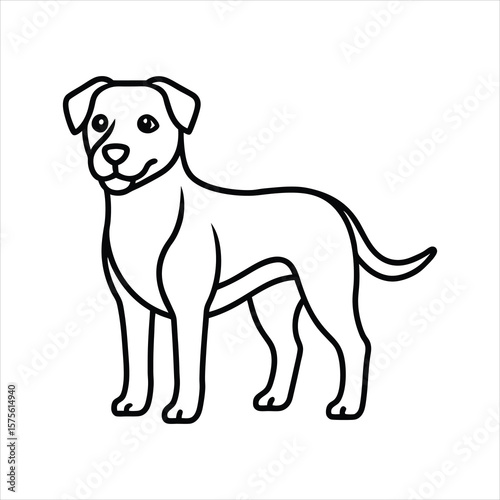 Happy dog standing on white background canine animal