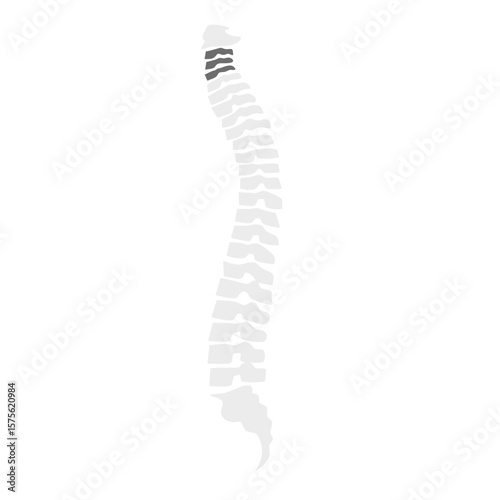 Pain in spine illustration vector