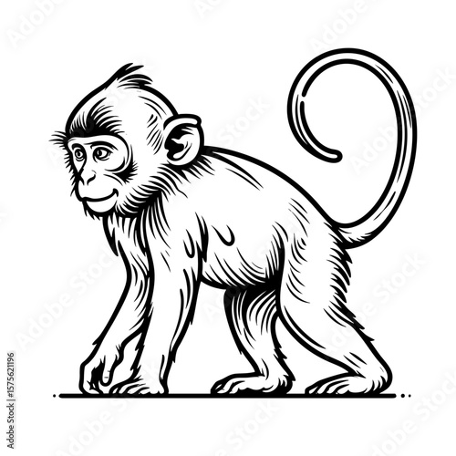 Adorable Baby Monkey  Line Art Print