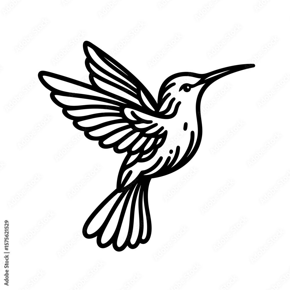 Obraz premium Hummingbird in Flight Elegant Bird Line Art