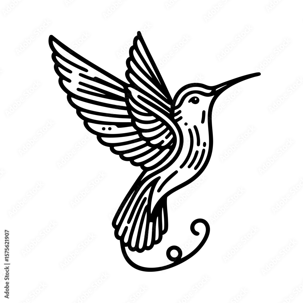 Fototapeta premium Hummingbird Line Art Elegant Bird Illustration