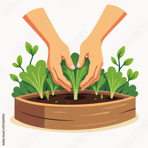 Close-up of hands planting lettuce seedlings into a raised garden bed, demonstrating urban gardening. Planting lettuce seedlings by hand showcases dedication to homegrown food and visual pantry,