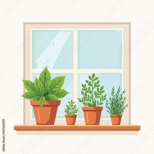 Basil and thyme in pots, growing herbs on windowsill, depicting urban gardening. Basil and thyme, two aromatic herbs, sit in small ceramic pots, ready to flavor your cooking,
