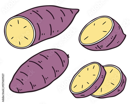 Vector art of a collection of whole and sliced purple sweet potatoes are arranged on a white background