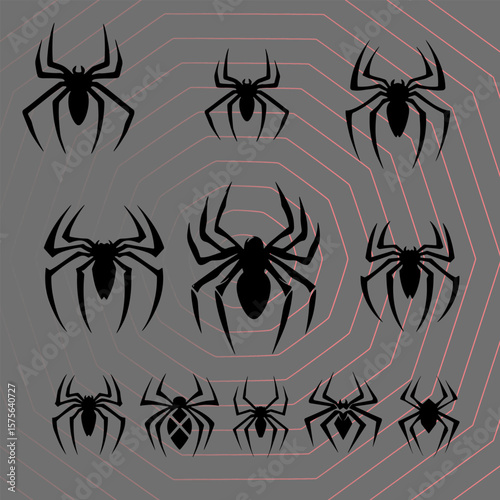 black spider on white background