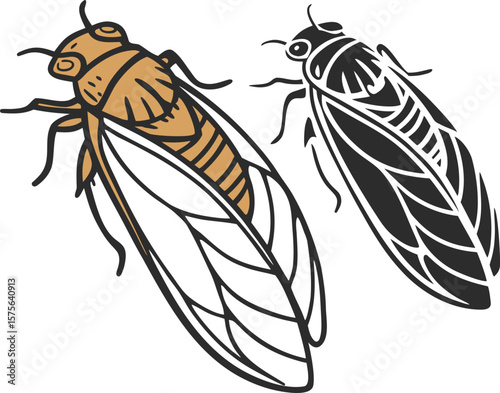 Vector art of two cicadas, one brown and one black, isolated on white background, showcasing their wings