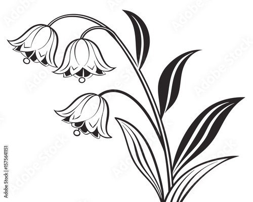 Vector art of a delicate lily of the valley flower illustration is displayed on a white background, isolated on white background