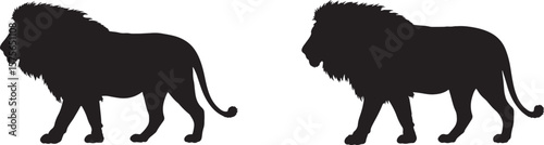 Two Lions Silhouette