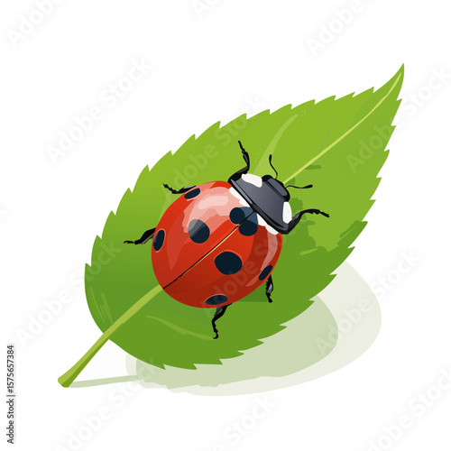 Detailed vector graphic of a ladybug perched on a vibrant green leaf against a black background.