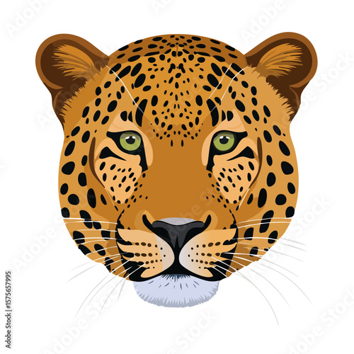 Detailed Vector Illustration of a Leopard Head