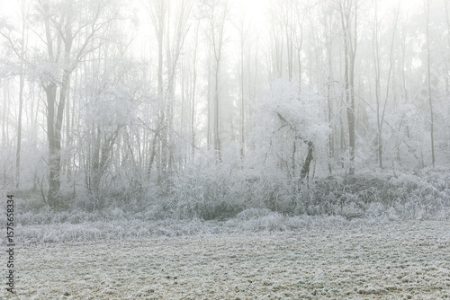 Winter landscape background