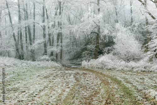 Winter landscape background