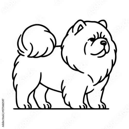 line icon chow chow dog vector on white background
Vector icon of dog breed on white background