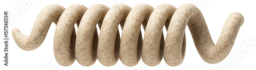 Microfossil of a spirochete with tightly wound spiral structure