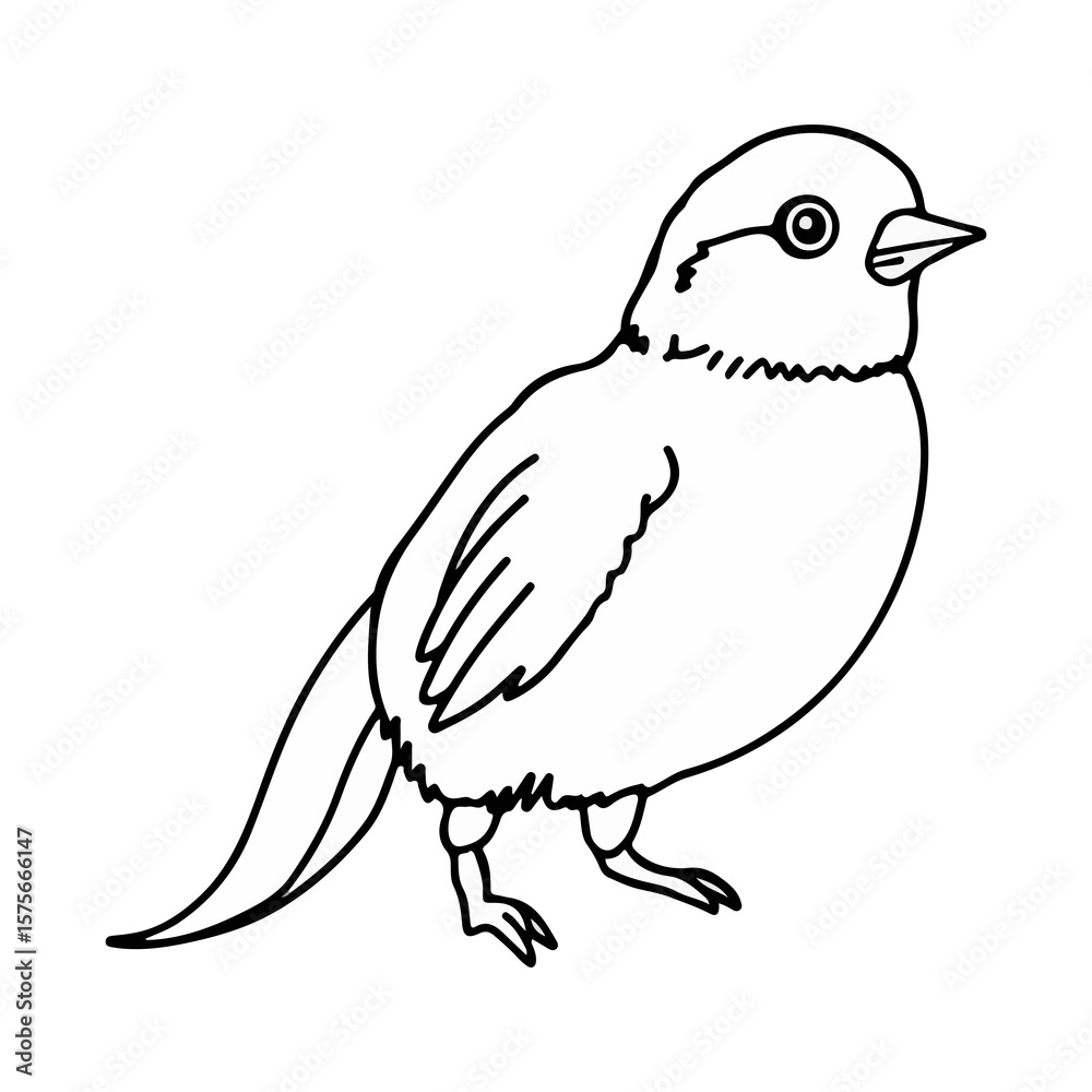 Fototapeta premium poultry sketch vector illustration isolated on white background ai generated