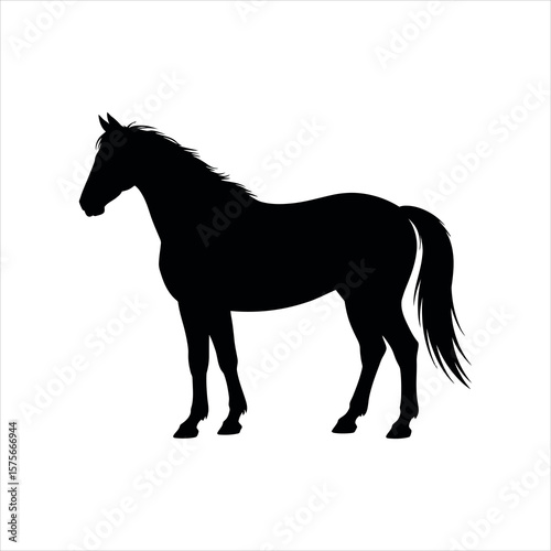 horse silhouette vector