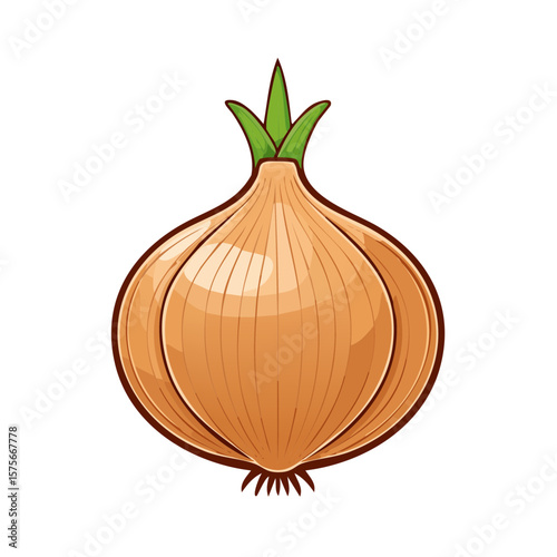Golden Onion Vector Illustration Vegetable Ingredient Cooking Isolated Food