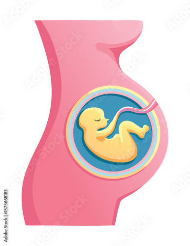 Pregnant Woman's Belly with Baby Fetus
