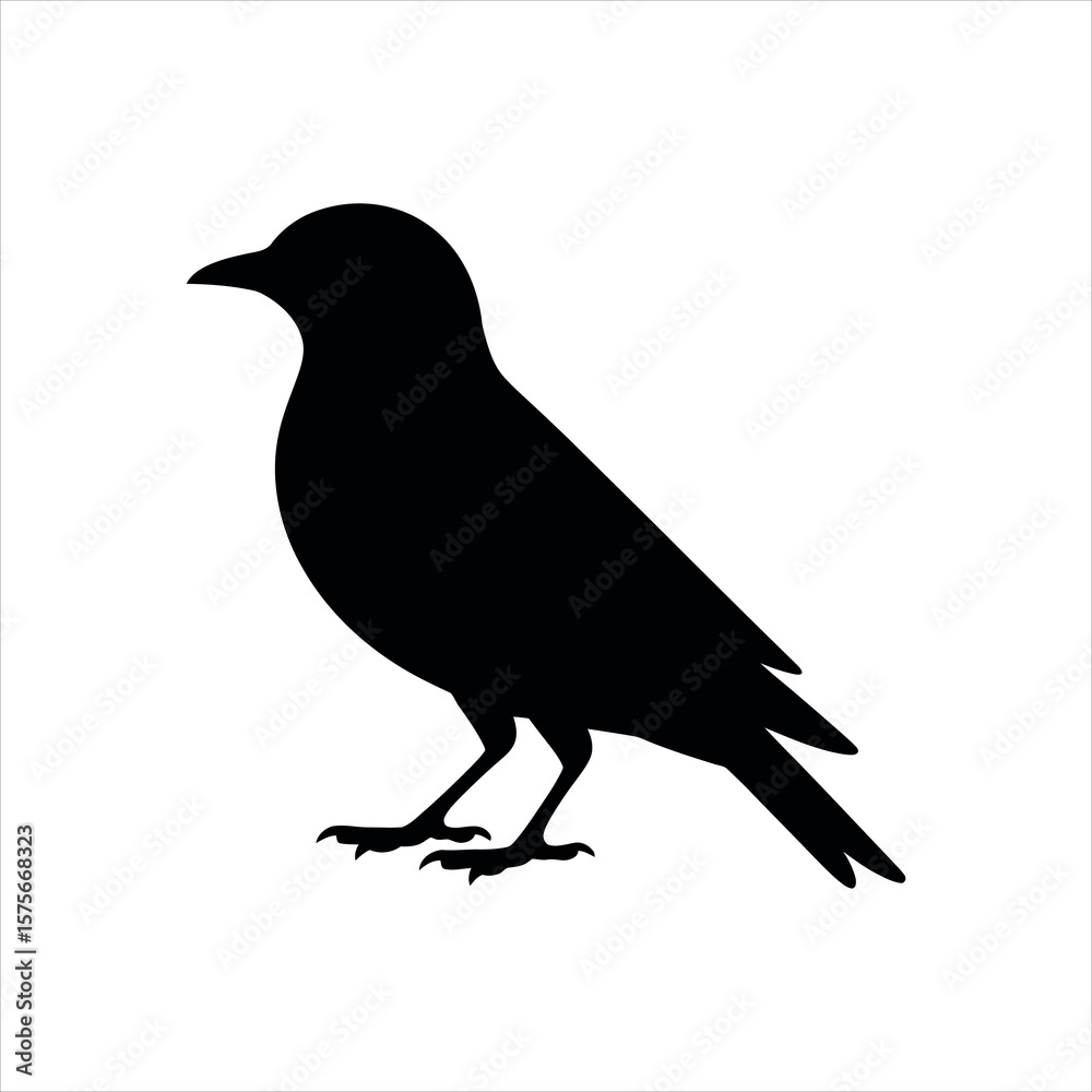 Obraz premium crow on a white background silhouette vector design