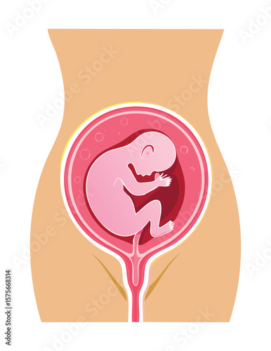 Representation of Fetus in Pregnant Woman's Body